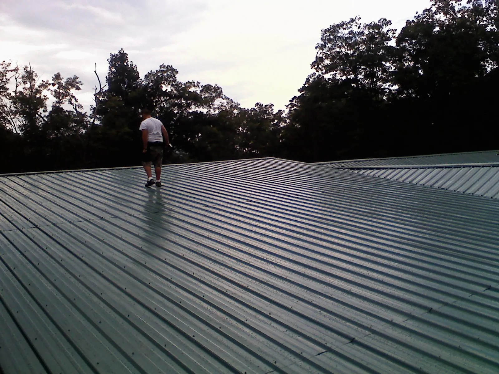 Roofer walking a wide expanse of new green metal roofing in Cape Coral